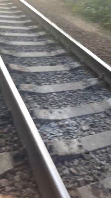 Дорожка иот жд моста из города Семилуки в Воронеж смотреть онлайн