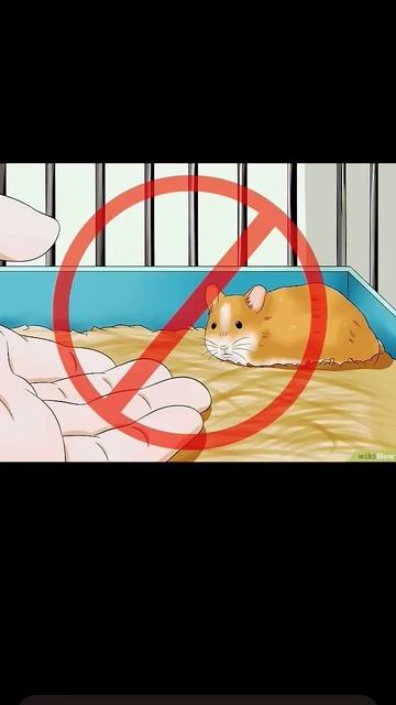 Я хомячок Ху Ху я ем арбуз ху Ху не трош меня Ху Ху от вз смотреть онлайн