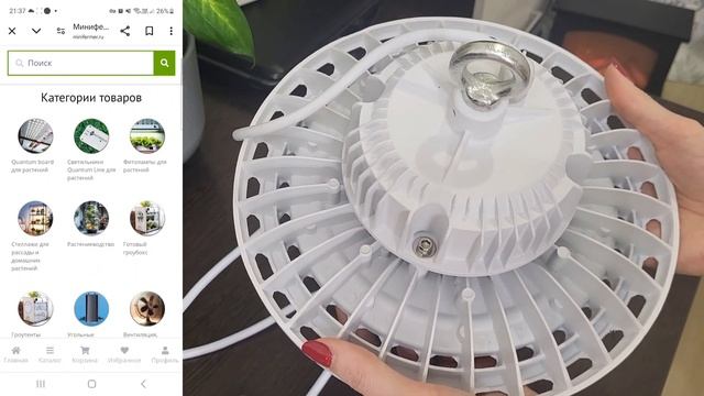 НАШЛА ОТЛИЧНЫЕ ФИТОЛАМПЫ! ОБЗОР смотреть онлайн