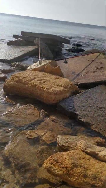 Море сегодня тихое сидеть тепло и поклевки есть смотреть онлайн