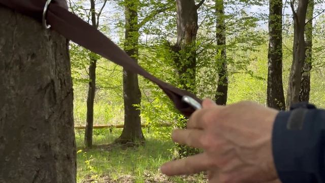 Підвісний гамак Totem