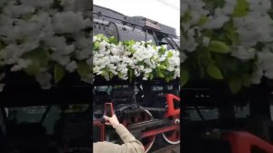 с днём Великой Победы