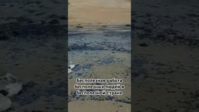 Бесполезная работа #экологическаякатастрофа #мазут #р