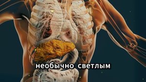 Почему БОЛИТ печень на самом деле? 5 признаков, которые