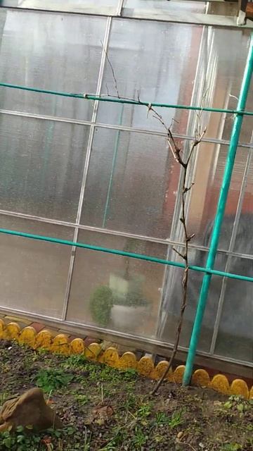 Ах,как хочется жить и красоту всем дарить! смотреть онлайн