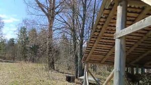 zhizn' v derevne.   Вот оно какое утро в деревне!