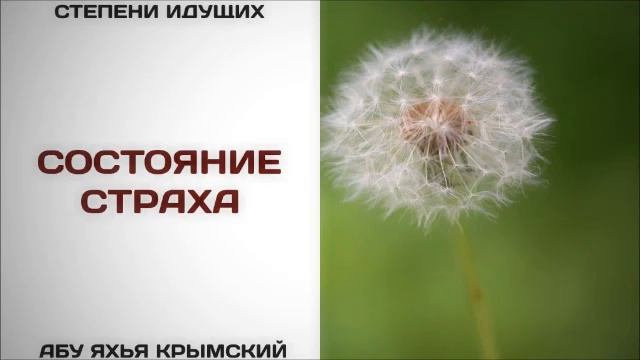 Состояние страха  Абу Яхья Крымский