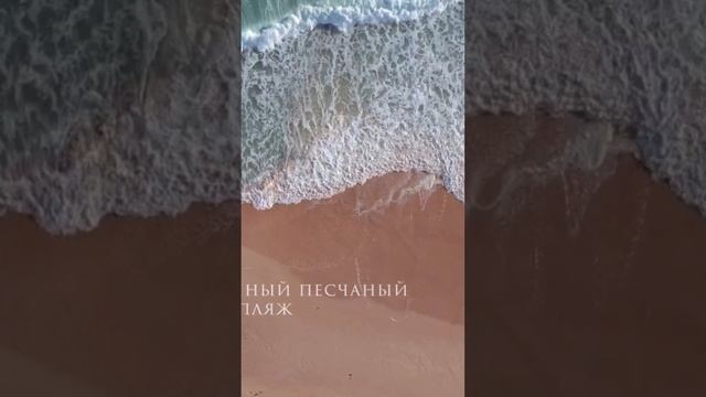 Недвижимость в Крыму. Инвестиции в недвижимость Крыма. Инвестиции в недвижимость. Апартаменты в Крым