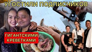 угостили подписчиков гигантскими креветками