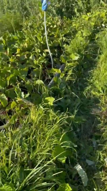 Урожайный год 2022 смотреть онлайн