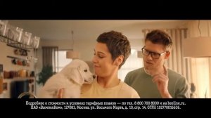 Реклама Билайн Интернет не ест деньги! NEW 2020