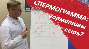 Спермограмма: нормативы есть?