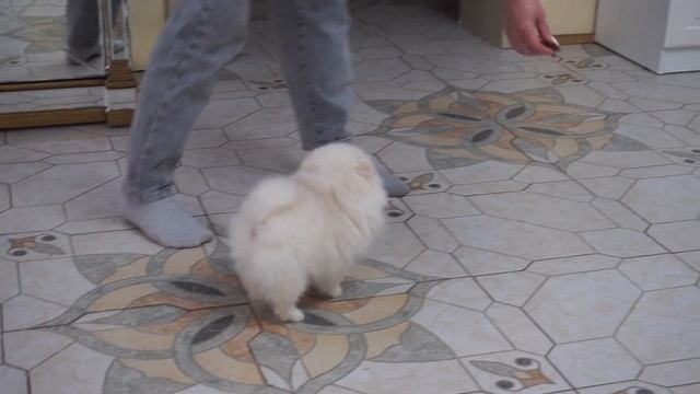 Девочка из помета "Э" смотреть онлайн