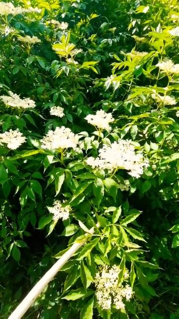 Больше не покупаю квас 