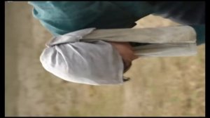 Дорама Когда жизнь дарит тебе мандарины 1 серия смотре