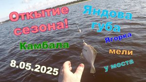 Камбала. Яндова губа 8.05.2025. Открытие сезона. Летняя морская рыбалка.