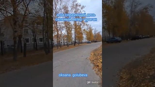 приметы осени, если вороны дружно уселись на верхушки