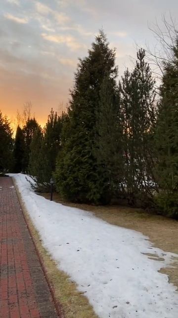 Рассвет… птицы поют #рассвет #птицыпоют #встречаемрас смотреть онлайн