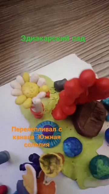 Эдиакарский сад (идея взята с канала: Южная солелия , 560 смотреть онлайн