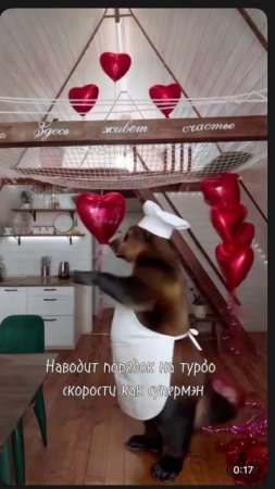 Дом бобра в Aframe Happy