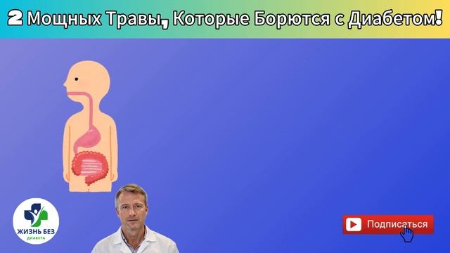 2 Мощных Травы, Которые Борются с Диабетом! (ПРОВЕРЕННЫ
