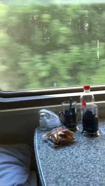 Шпиц уснул в поезде #пушистыйдруг #шпиц #собака #щенок #белыйшпиц #бонди #шпициалист #мило смотреть онлайн