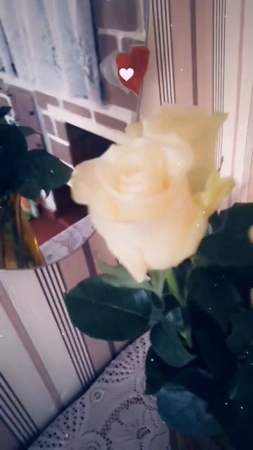 У моей мамы сегодня день рождения. Цветы уже есть🌹🌹? смотреть онлайн