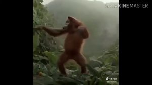 Прикол про пятницу!!