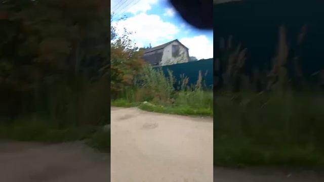 эти ягоды нельзя есть смотреть онлайн