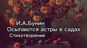 И.А.Бунин. Осыпаются астры в садах. #стихотворение #осе?