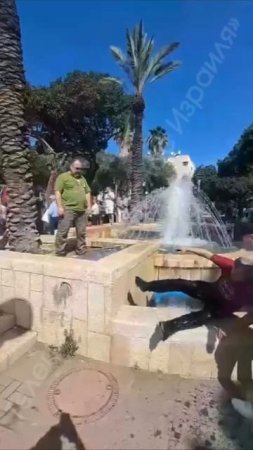 «Вон отсюда, тварь!» Участники «Бессмертного полка» в Израиле сбросили украинца в фонтан