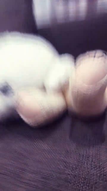 когда у меня есть 100 рублей кто напишет привет на того ? смотреть онлайн