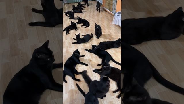 Очень прикольно