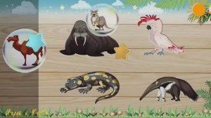 Пазлы Развивающий мультфильм |Пазлы|для детей|Учись|Играй|малышам|онлайн|мультфильм|