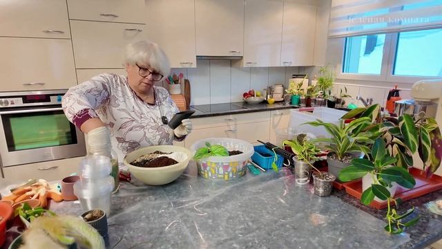 пересадка растений 2, приобретённых в садовых центрах смотреть онлайн