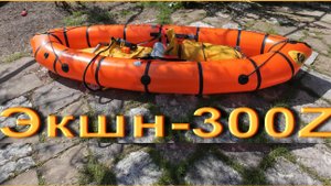 Экшн-300Z, сухой обзор