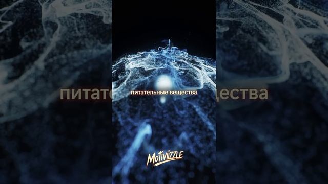 🧬Гормональные пики после тренировки🧬 #reels #гормоны #?