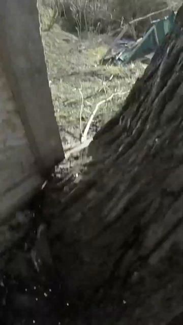 Почему-то мне не доверяют гранаты :-) #страйкбол #airsoft смотреть онлайн