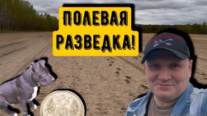 ПОЛЕВАЯ РАЗВЕДКА!