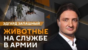 Эдгард Запашный. Собаки на фронте и паспорт для попугая