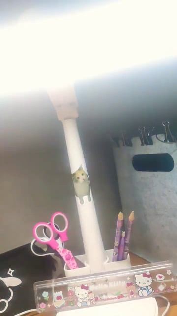 Обзор на лампу)можно хоть 300 лайков очень хочу :( #а #roblox смотреть онлайн