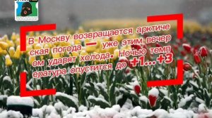 В Москву возвращается арктическая погода — уже этим вечером ударят холода.