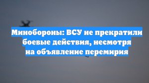 Минобороны: ВСУ не прекратили боевые действия, несмотря на объявление перемирия