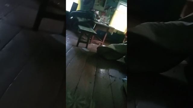 7 июля 2024 г. Деревня уже не жилая ( Мордовия) смотреть онлайн