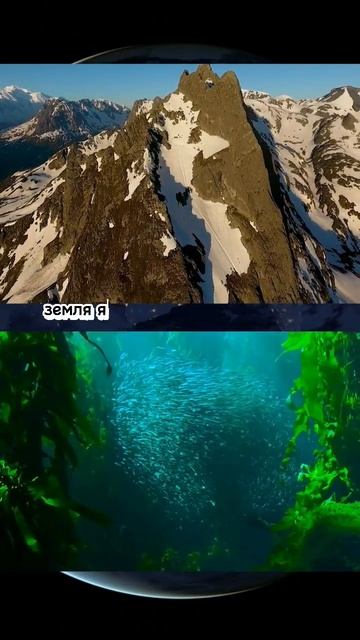 Земля. Единственное известное место на данный момент ?