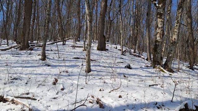 А как в Украине отмечают 23 февраля ? смотреть онлайн