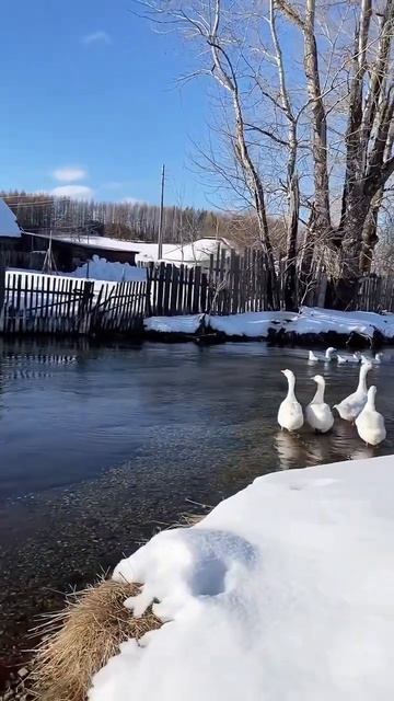 ДЕРЕВНЯ ОСИНЦОВО В ПЕРМСКОМ КРАЕ смотреть онлайн