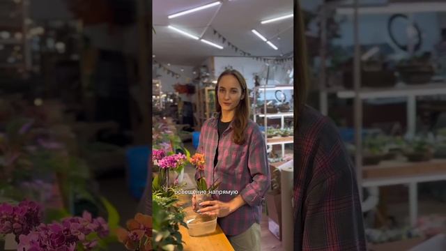 Как ухаживать за орхидеями в домашних условиях