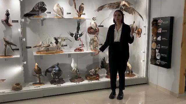 9 июня 2023 г. смотреть онлайн