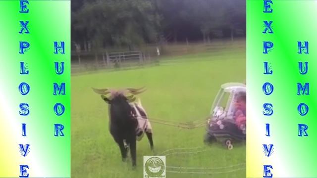 ПОДБОРКА ПРИКОЛОВ ПРО КОЗЛОВ И КОЗЛЯТ. СМЕШНАЯ ЖИВНОСТЬ / SELECTION OF THE HUMOR ABOUT THE GOATS